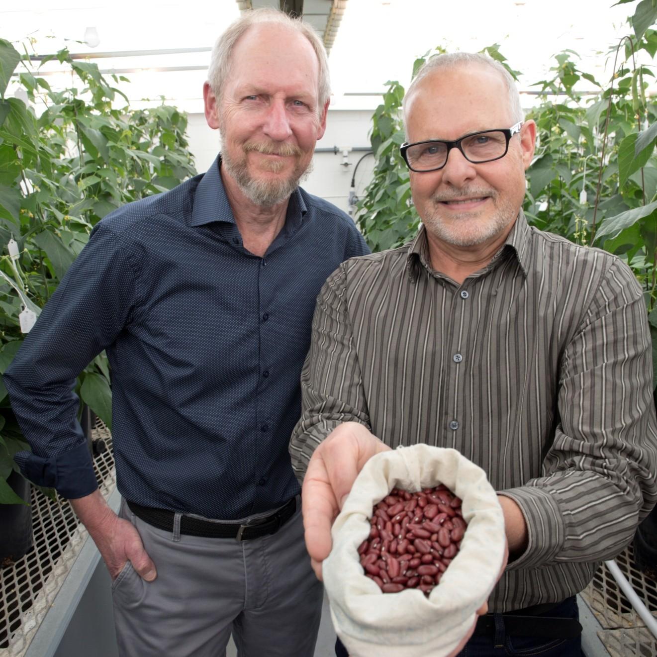 Peter Pauls and Tom Smith standing in a greenhouse holding a bag of red beans.
