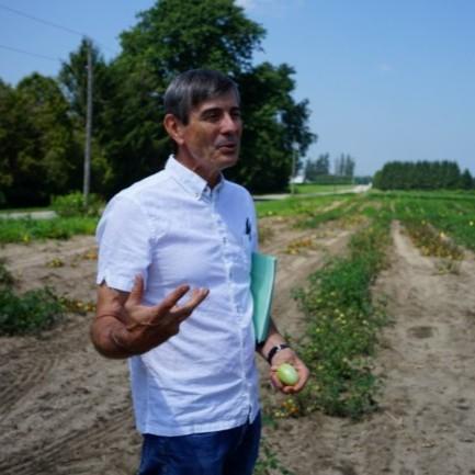 Steve Loewen stands outside in a tomato field on a sunny day, articulating something with his hands as he explains something