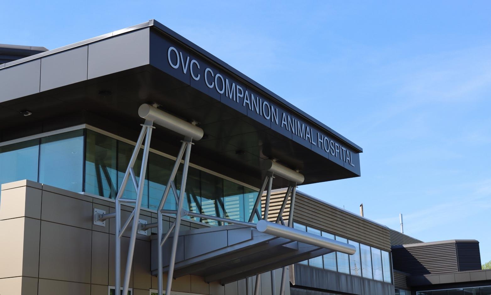 OVC companion animal hospital
