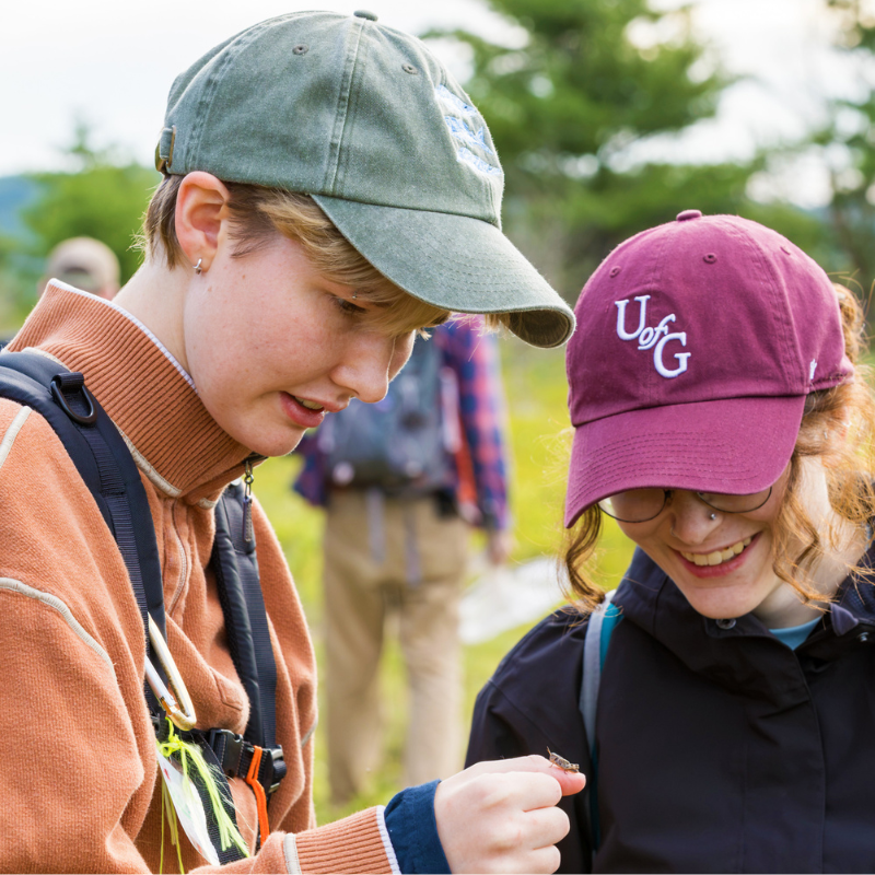 Students look at a cricket