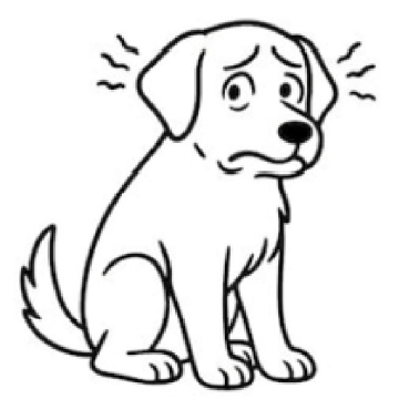An anxious and nervous dog