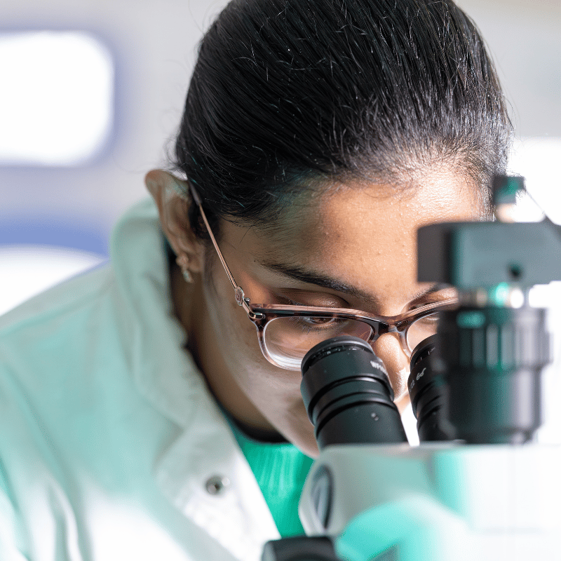 Student looks through microscope