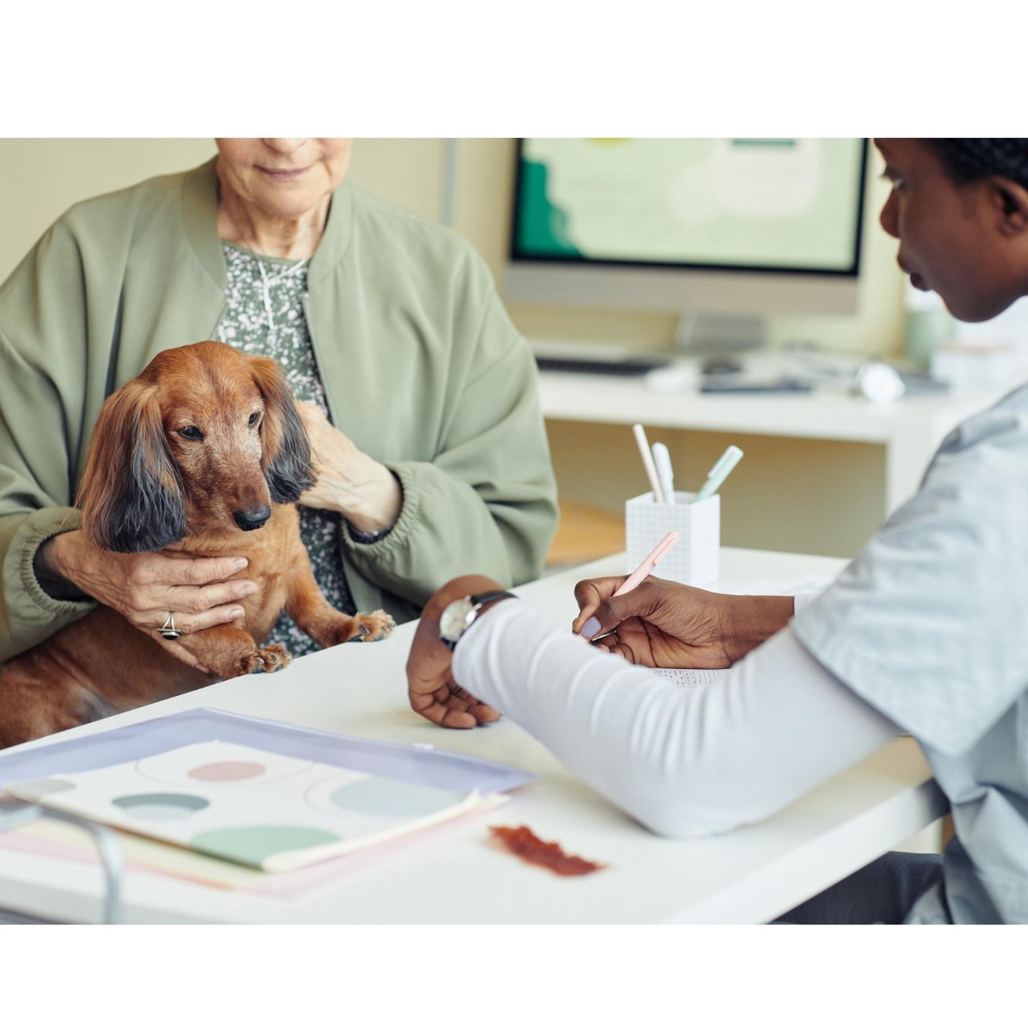 Dog, doctor and client