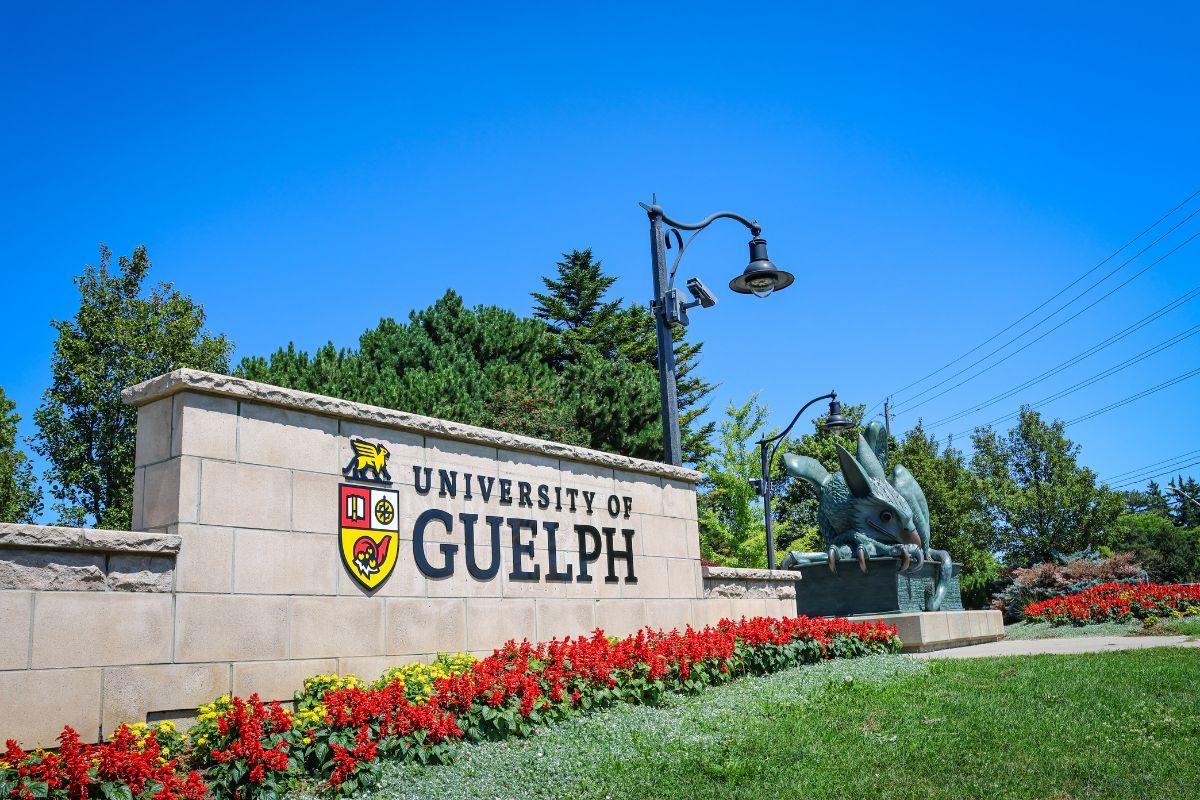 Exterior image of U of G sign with the Gryphon statue in the background