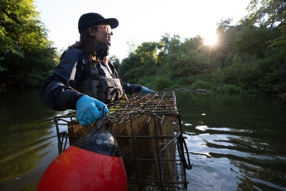 Grad student stands in river to conduct research