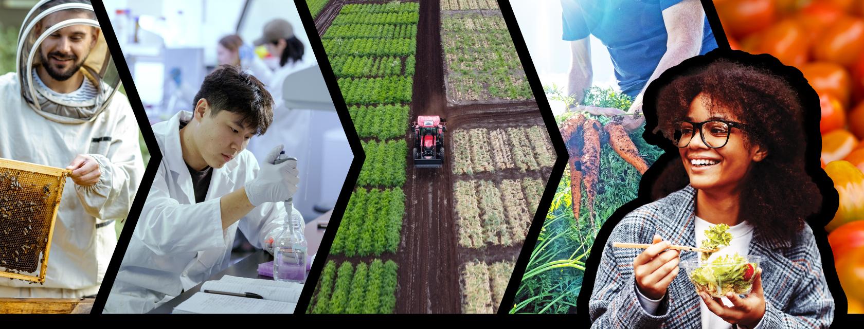 Banner for Securing Ontario's Food Future