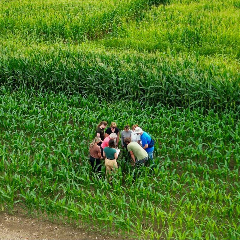UofG students gathered in a field at Ridgetown Campus