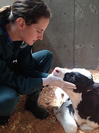 Dr. Devon Wilson, veterinarian and OVC PhD student