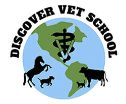 Discover Vet School logo