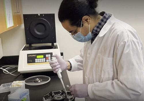 Dr. Saeid Tabatabaei, PhD candidate in OVC’s Department of Pathobiology, in the lab.
