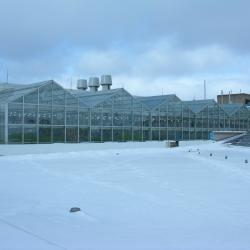 Image of the Phytotron greenhouse during the day in the winter (snow is visible)