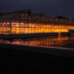 Image of the Phytotron greenhouse at night