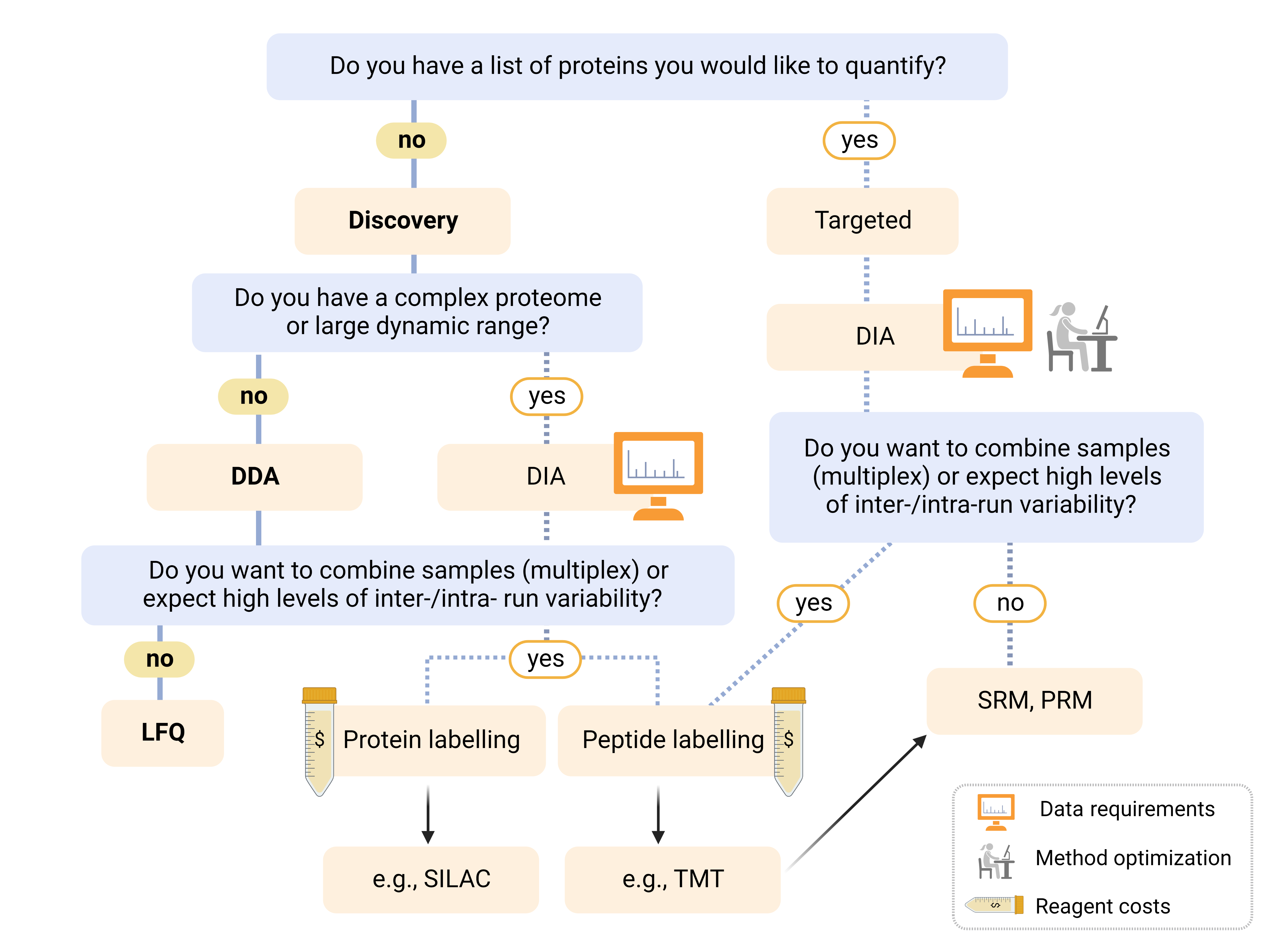 Workflow for protein identification.Proteins are extracted and can be fractionaled,enriched or separated on a gel followed by digestion with protease into small peptides between 8 and 30 aminoacids. These peptides can first be enriched or fractionaled followed by a clean-up and then separated using chromatography and detected by mass spectrometry and fragmented. The data is then analyzed using Peaks 10.0 software and compared to protein databases which leads to protein identification. 