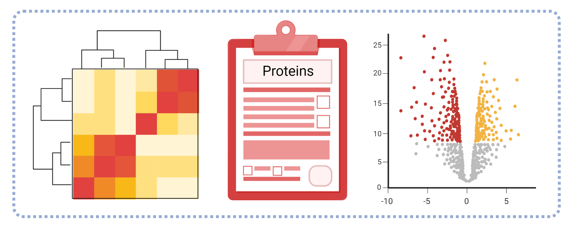 Workflow for protein identification.Proteins are extracted and can be fractionaled,enriched or separated on a gel followed by digestion with protease into small peptides between 8 and 30 aminoacids. These peptides can first be enriched or fractionaled followed by a clean-up and then separated using chromatography and detected by mass spectrometry and fragmented. The data is then analyzed using Peaks 10.0 software and compared to protein databases which leads to protein identification. 