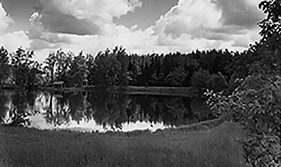 The Arboretum Pond, circa 1981