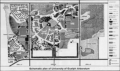 The Arboretum Schematic Plan