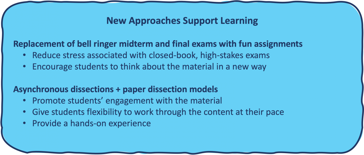 New approaches supporting student learning