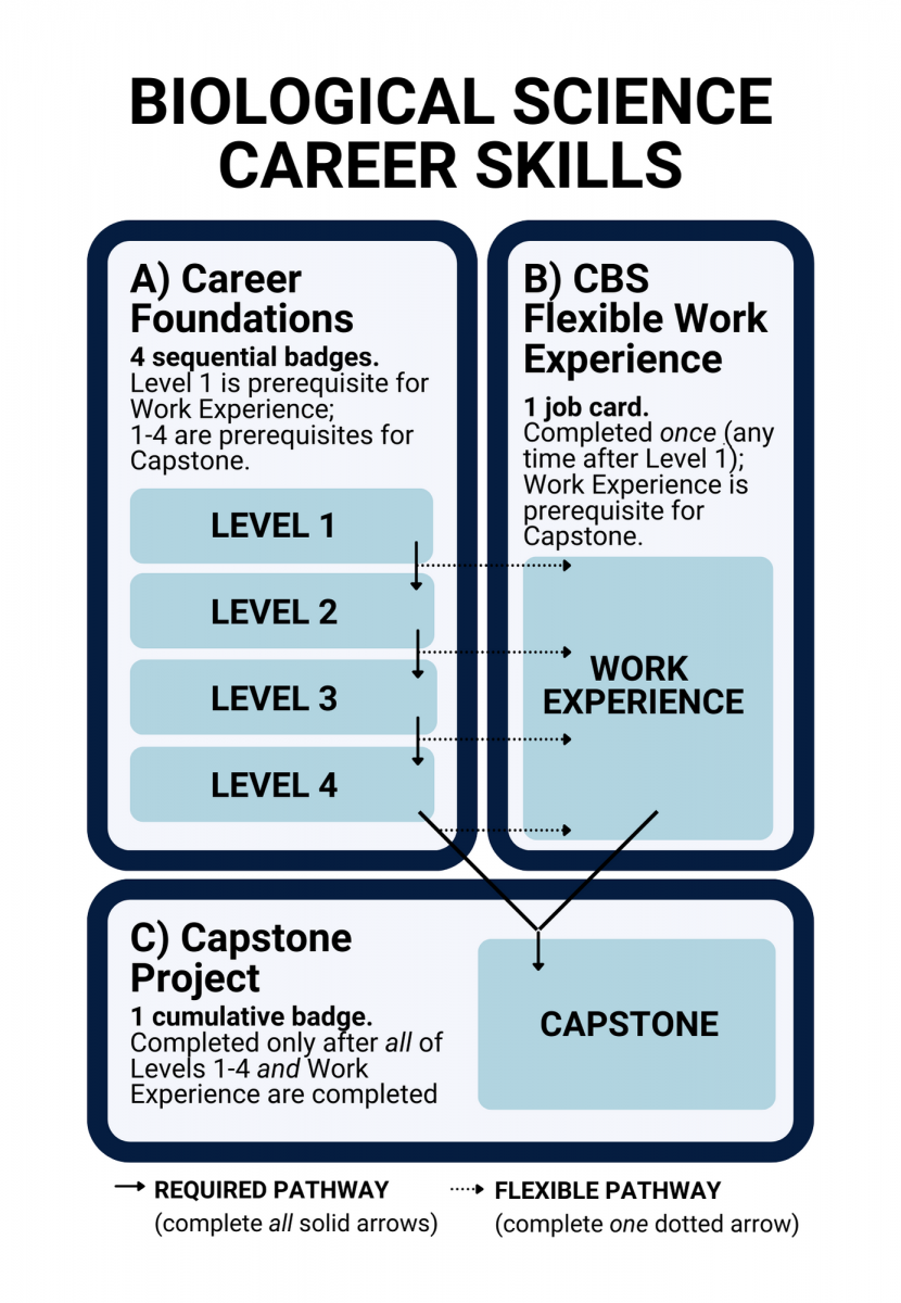Infographic Summarizing the Biological Science Career Skills Program