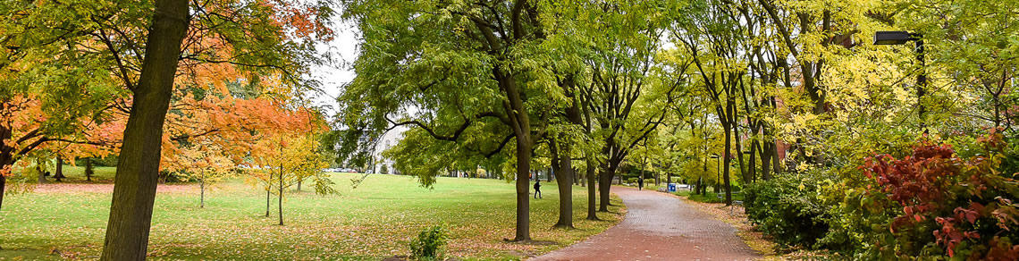 walkway on the University of Guelph campus