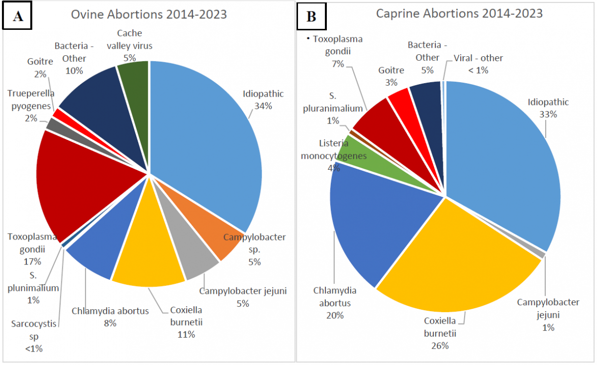 Figure 2. A ten-year compilation (2014-2023) of the causes of small ruminant abortions at the AHL.   A. Ovine abortions B. Caprine abortions 