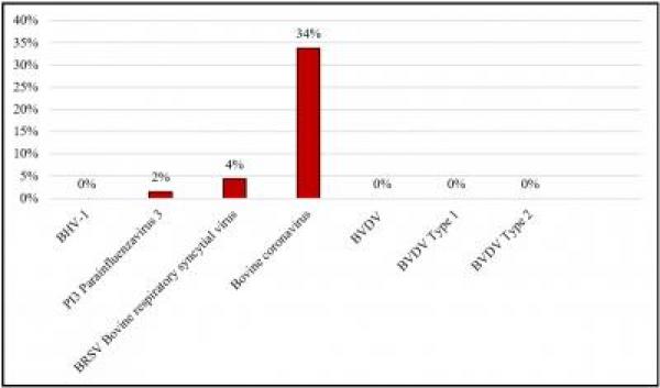 Figure 2.  Results of viral PCR panel from 68 dairy calves on 14 dairy farms in Ontario that were experiencing a respiratory disease challenge.