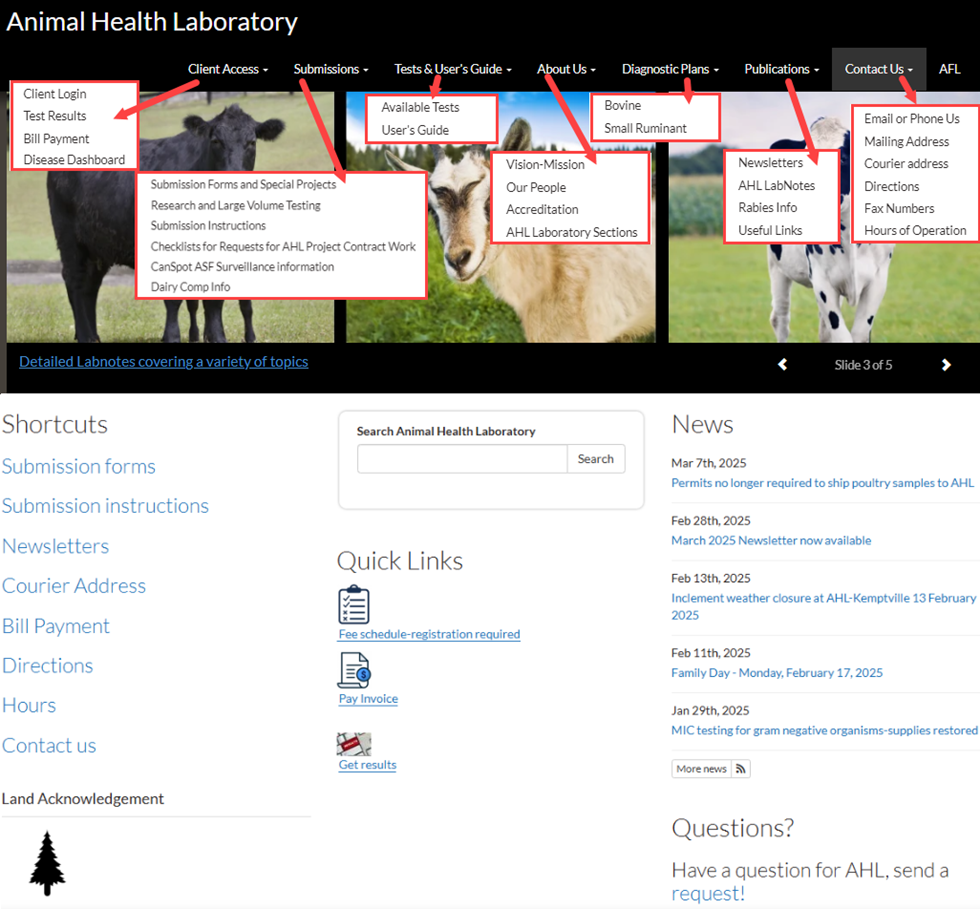AHL website, homepage