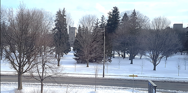 The view from the Director’s office