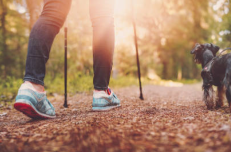 Person walking with dog on fall trail