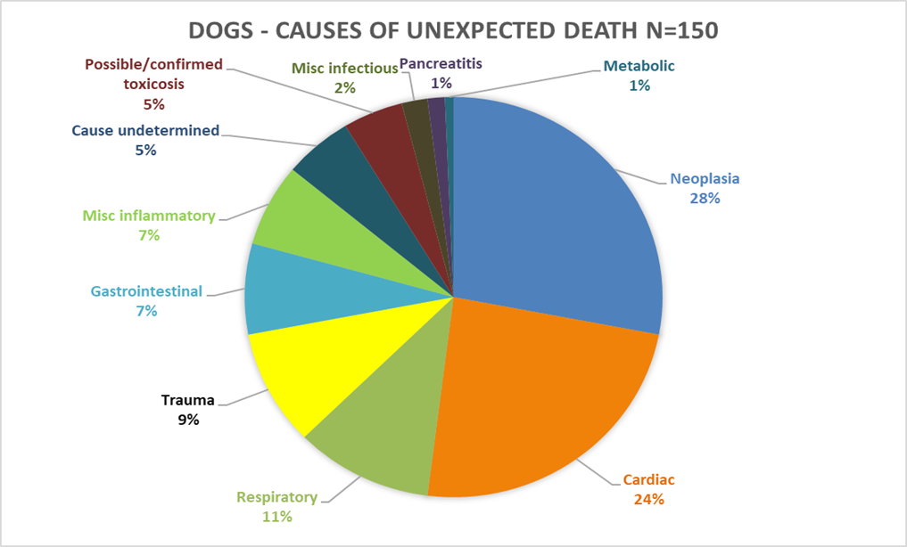 Unexpected Death cats and dogs