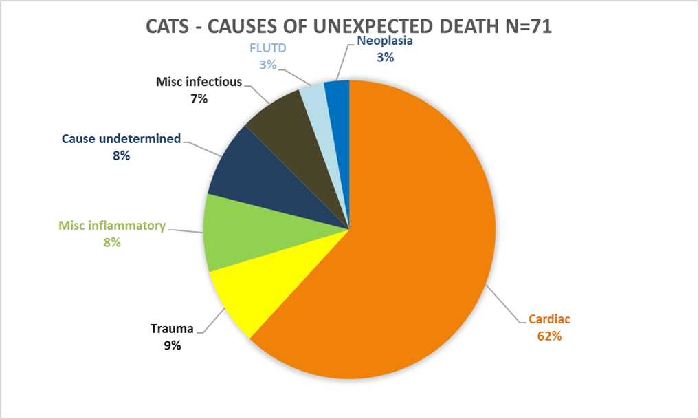 Unexpected Death in Cats