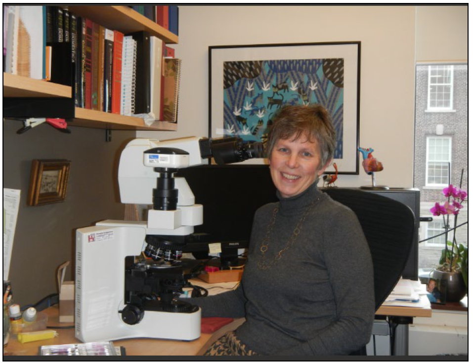 Photo of Josepha DeLay