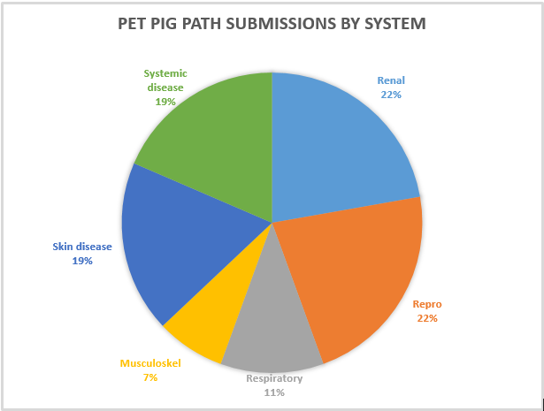 PetPig problems