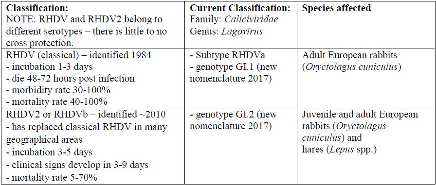 Table 1. Rabbit hemorrhagic disease virus classification.