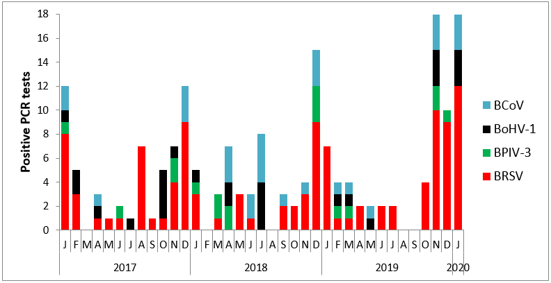 Figure 1. Frequency of bovine respiratory syncytial virus (BRSV), bovine coronavirus (BCoV), bovine herpesvirus-1 (BoHV-1), and bovine parainfluenza virus-3 (BPIV-3), detected by PCR at the AHL from Jan. 2017 to Jan. 2020.