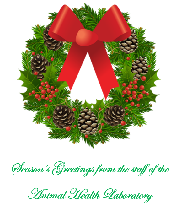 Free Christmas Wreath Cliparts, Download Free Clip Art, Free Clip Art on  Clipart Library