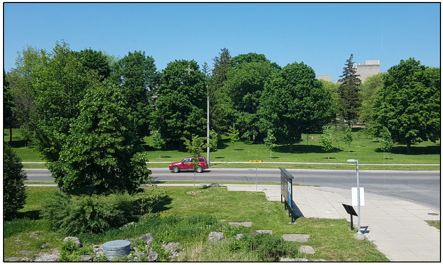 View from Director office 