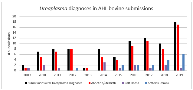 Ureaplasma diagnoses in AHL bovine submissions