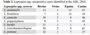 Lepto cases 2016