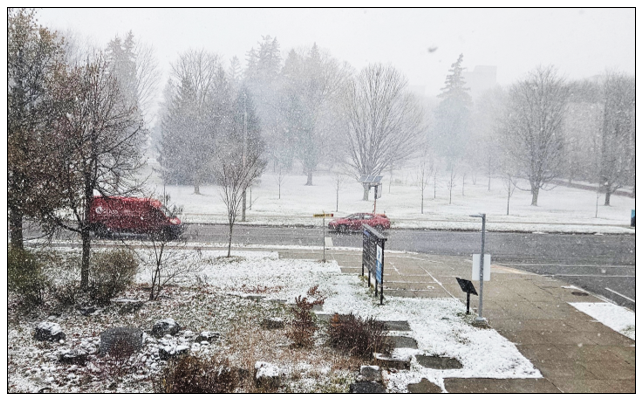 The view from the Director’s office