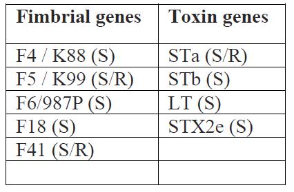 Table 1. Fimbrial and toxin genes targeted by ETEC genotyping. S=swine, R=ruminants