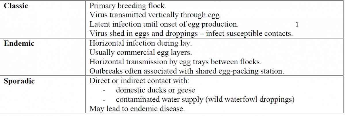 Table 1. Egg Drop Syndrome ‘76 patterns of disease.