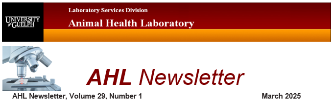 AHL Newsletter Match 2025 logo