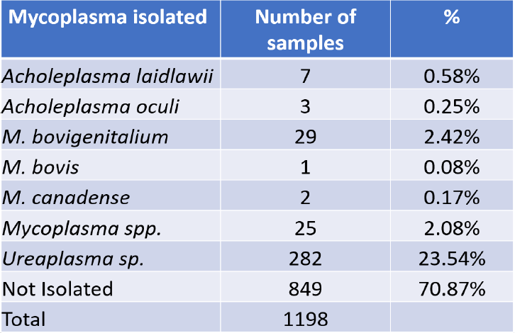 Table 2. Mycoplasma isolated from semen samples from May 2007 to April 2023. 
