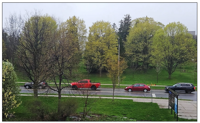 The view from the Director’s office