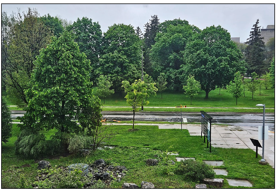 The view from the Director’s office