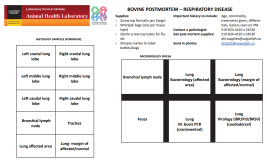 Bovine PM Respiratory guidelines