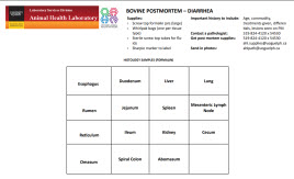 Bovine Diarrhea PM plan page 1