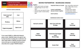 Bovine PM - Neurologic sampling guide