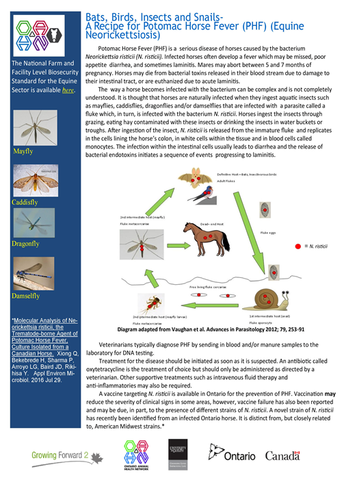 Disease fact sheet