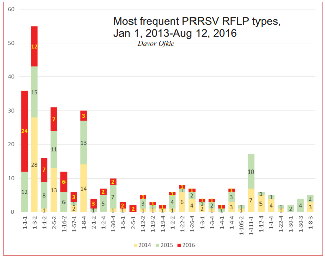 Graph outlining most frequent PRRS types